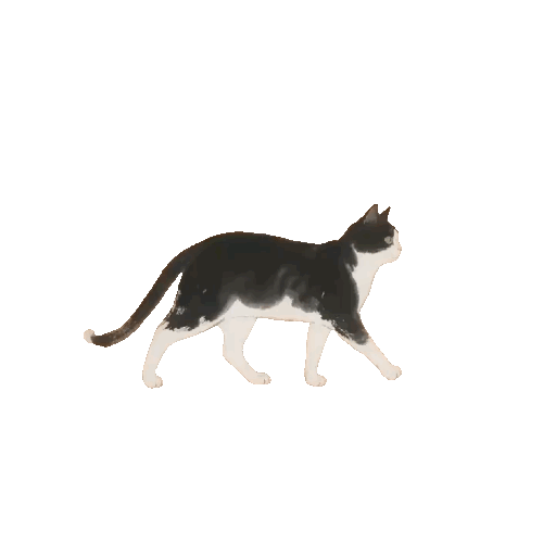 After: Transparent background APNG / GIF animation - TransMov result